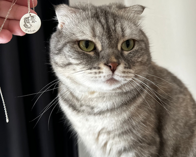Personalized Pet Portrait Necklace
